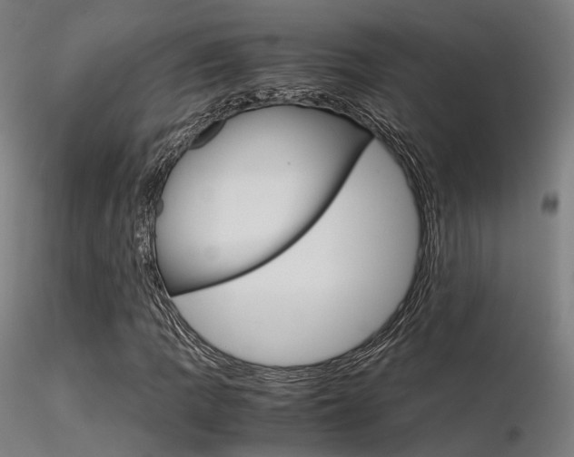 X0000116371109200912021003