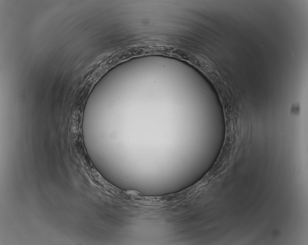 X0000116371110200912021003