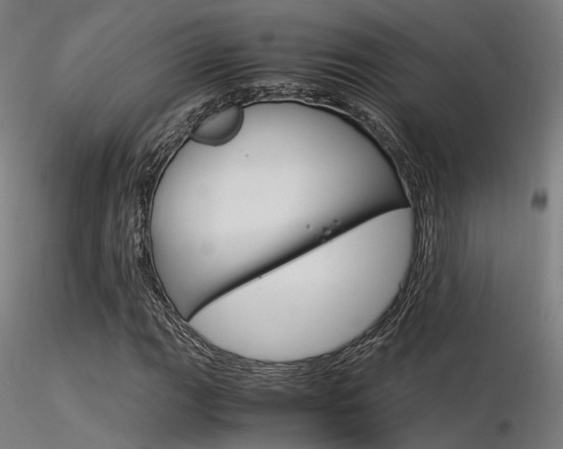X0000116371111200912021003