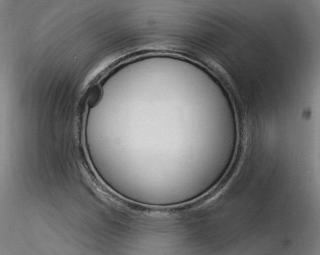 X0000116371114200912021003
