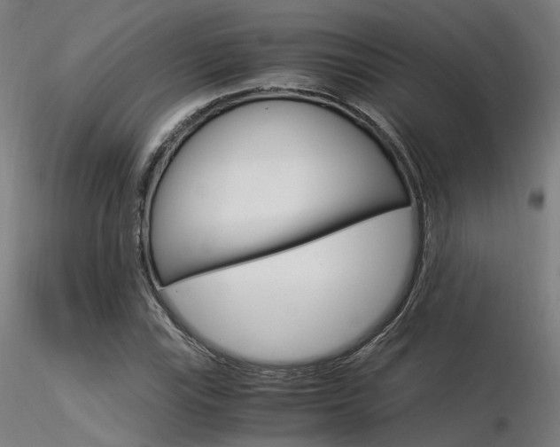 X0000116371115200912021003