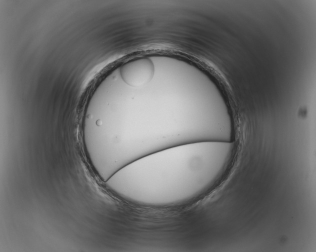X0000116371117200912021003