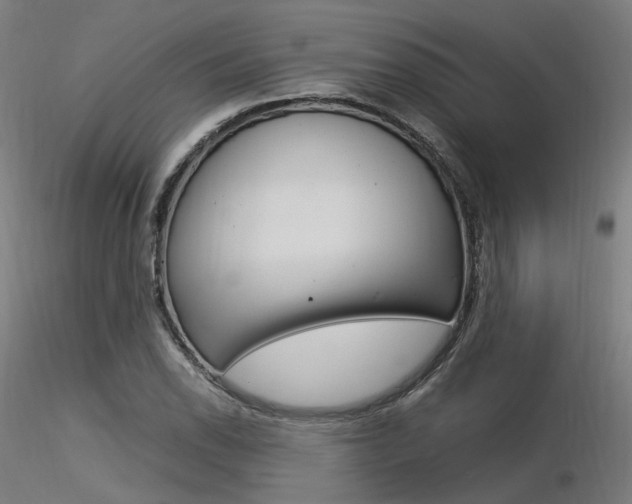 X0000116371118200912021003