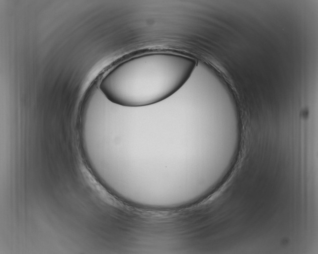 X0000116371122200912021003
