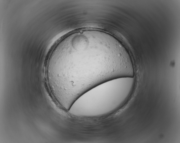 X0000116371125200912021003