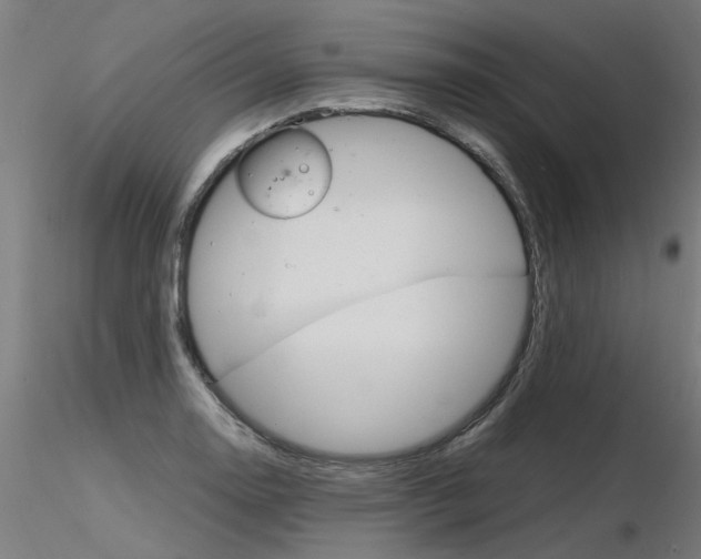 X0000116371130200912021003