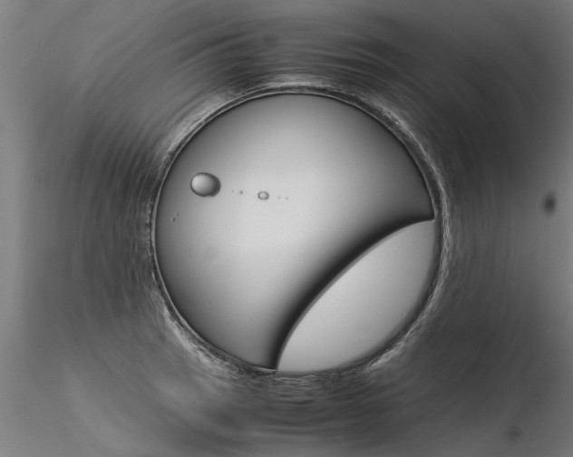 X0000116371137200912021003