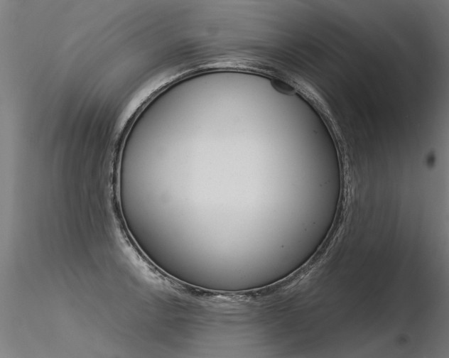 X0000116371138200912021003