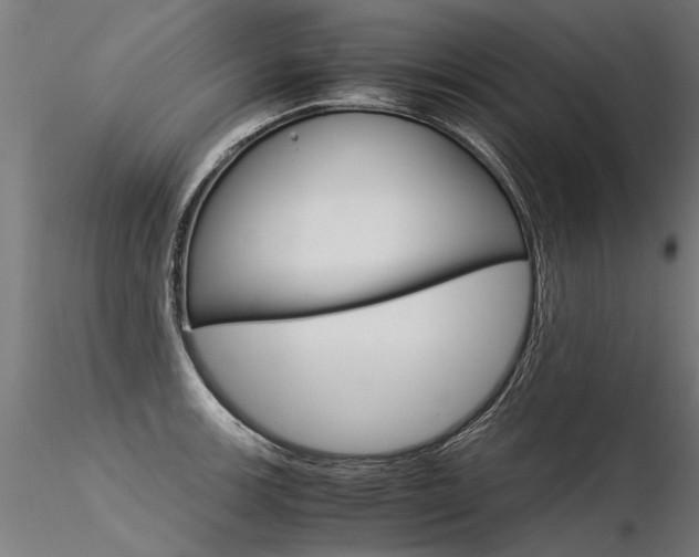 X0000116371139200912021003