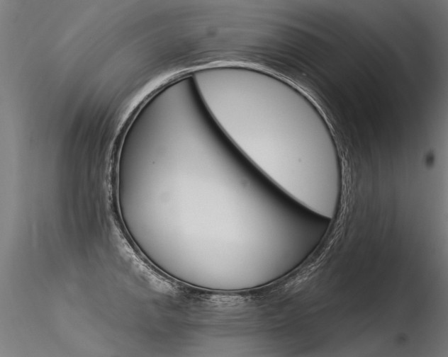 X0000116371142200912021004