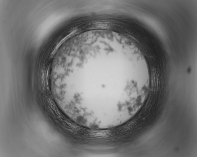 X0000116371150200912021004