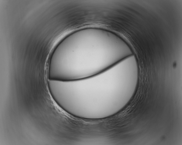 X0000116371151200912021004