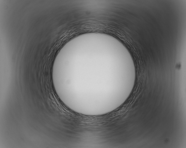 X0000116371153200912021003