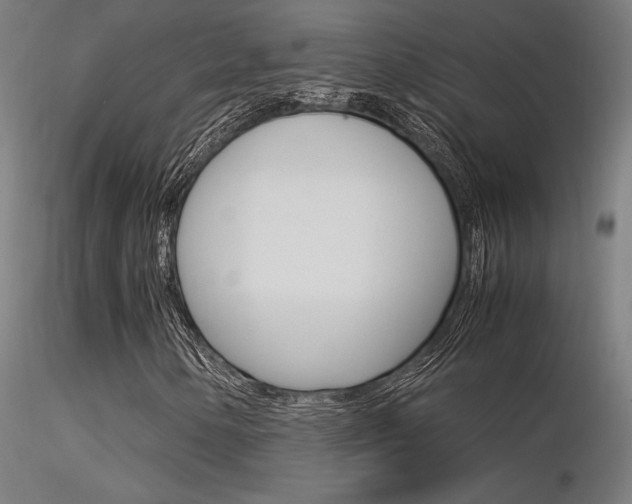 X0000116371154200912021003