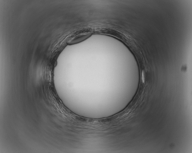 X0000116371155200912021003