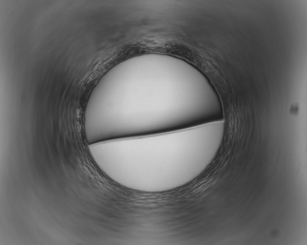 X0000116371156200912021003