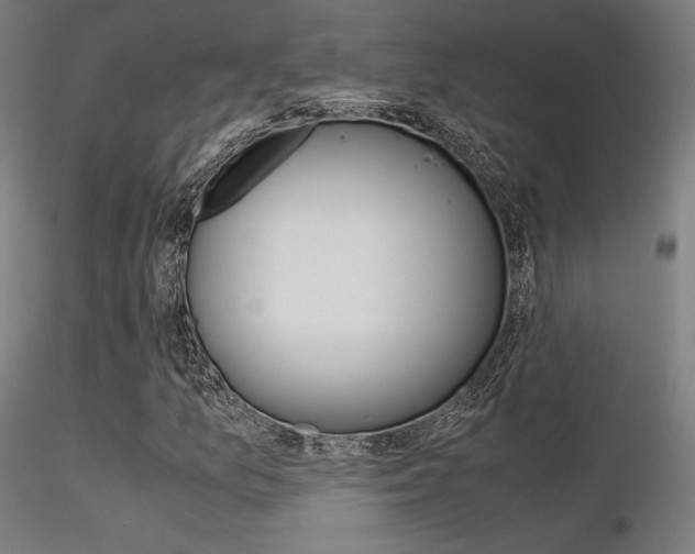 X0000116371157200912021003