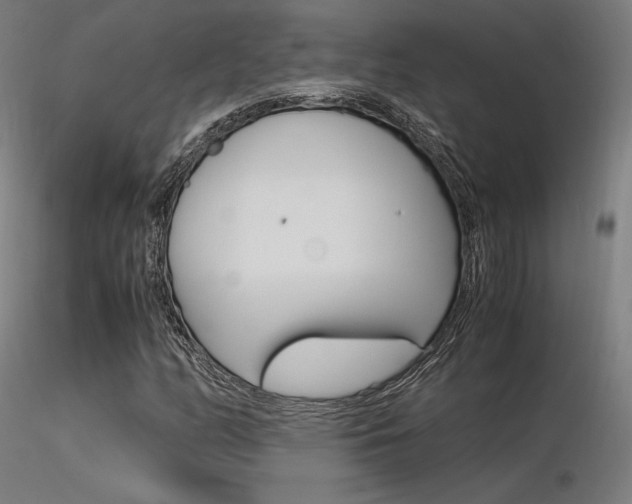 X0000116371158200912021003