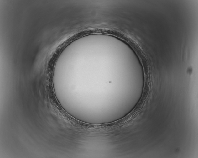 X0000116371159200912021003