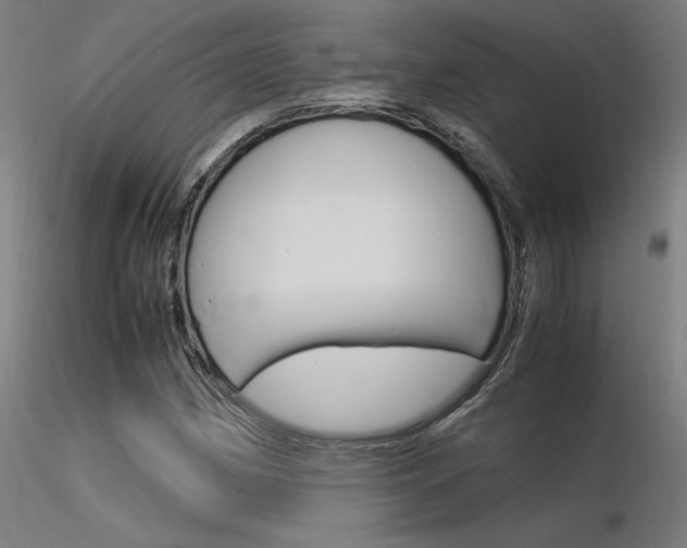 X0000116371162200912021003