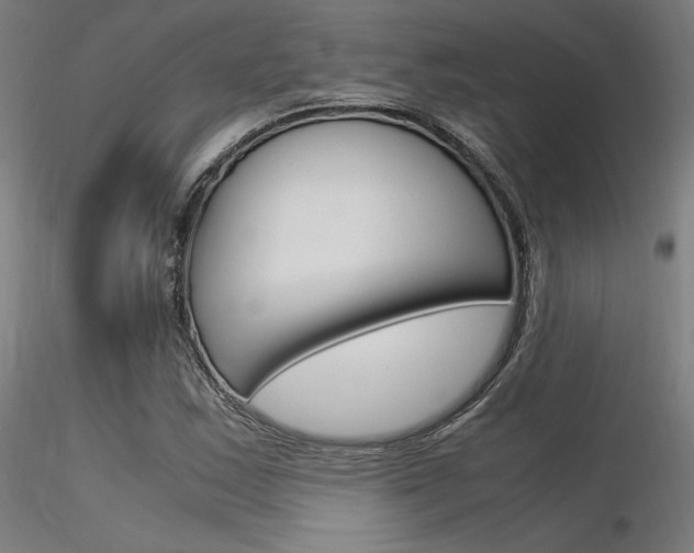 X0000116371163200912021003