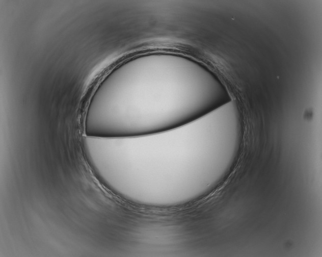 X0000116371164200912021003