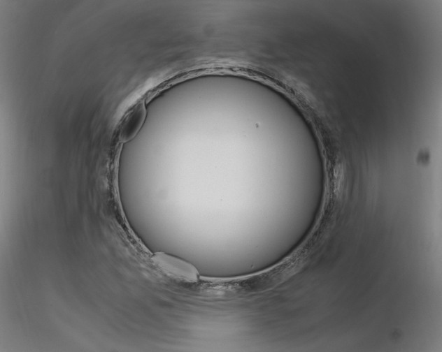 X0000116371165200912021003