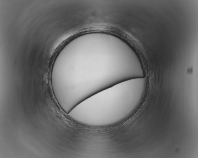 X0000116371166200912021003
