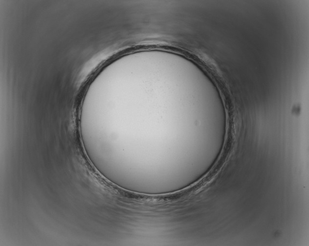 X0000116371167200912021003