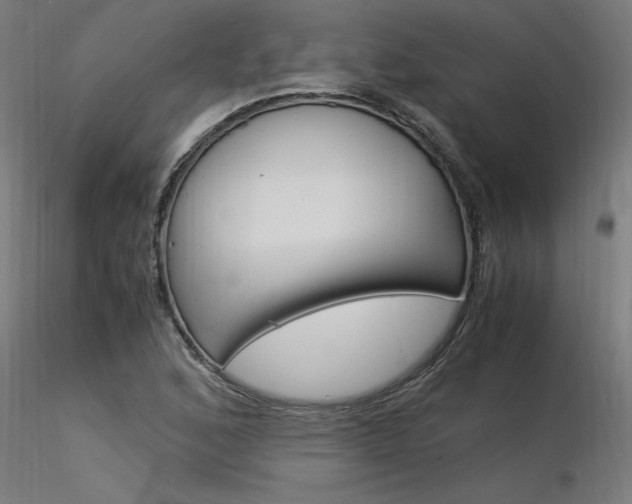 X0000116371168200912021003