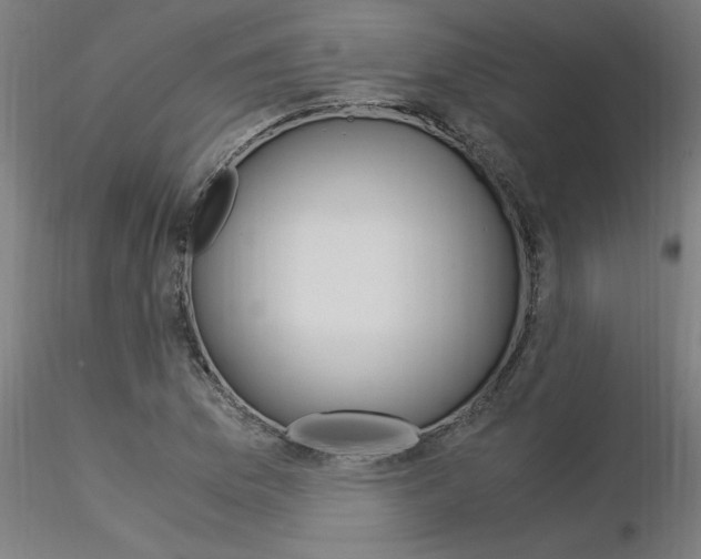 X0000116371169200912021003