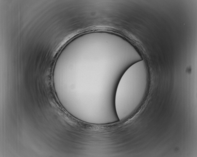 X0000116371170200912021003