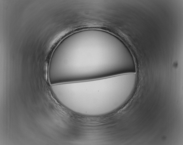 X0000116371171200912021003