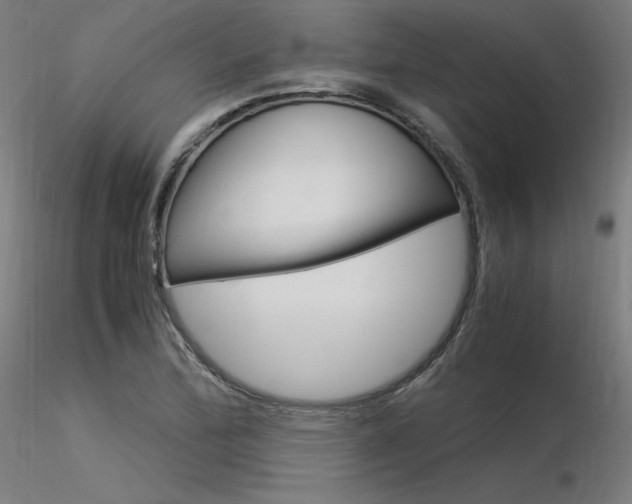 X0000116371172200912021003