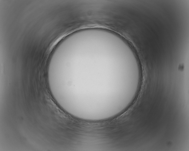 X0000116371173200912021003