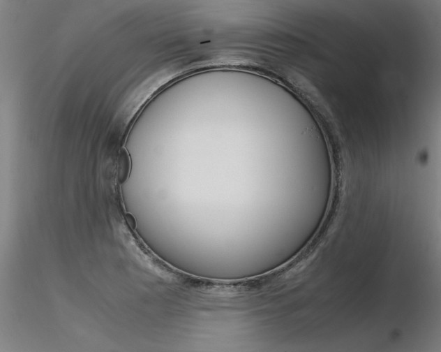 X0000116371177200912021002