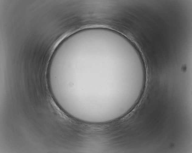 X0000116371181200912021002