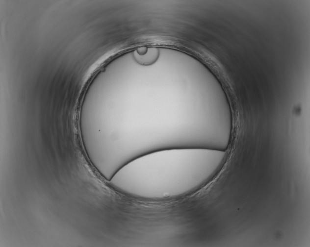 X0000116371182200912021002