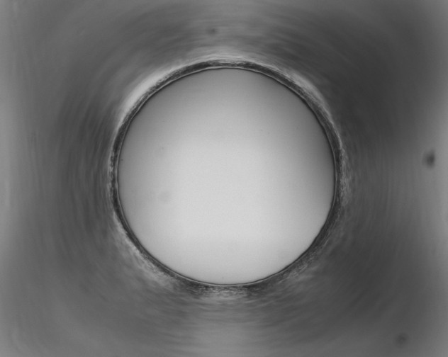 X0000116371183200912021002