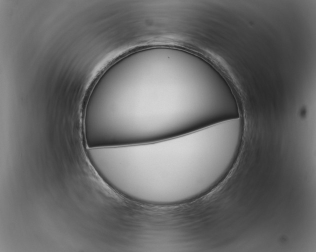 X0000116371184200912021002