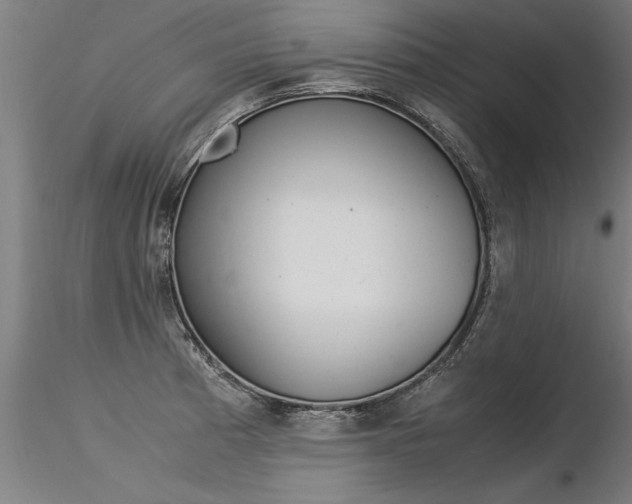 X0000116371185200912021002