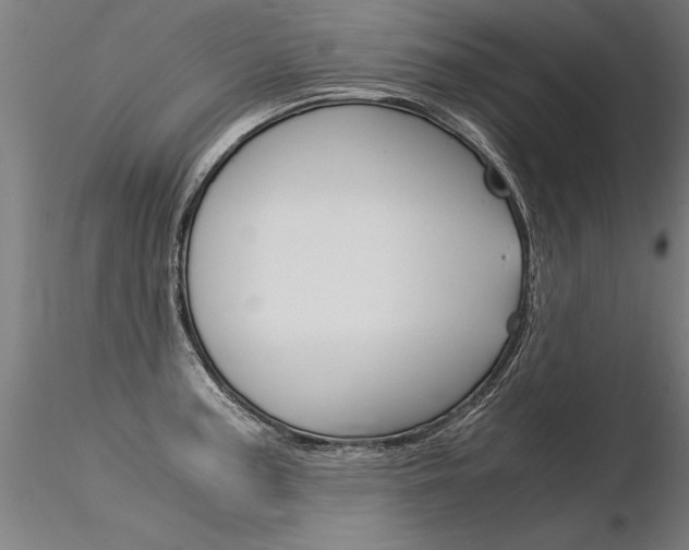 X0000116371187200912021002