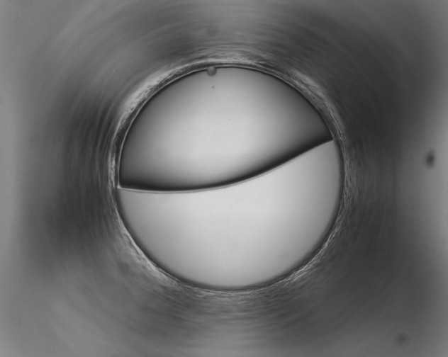 X0000116371188200912021002
