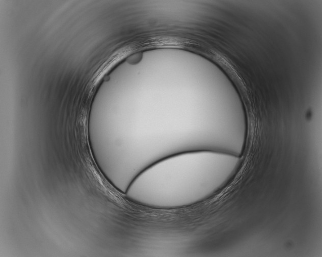 X0000116371194200912021002