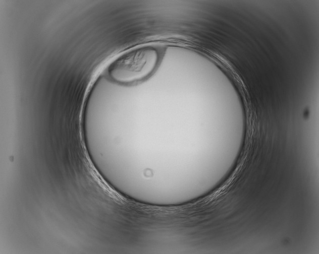 X0000116371196200912021002