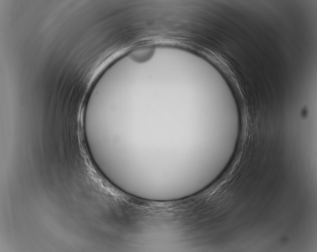 X0000116371198200912021002