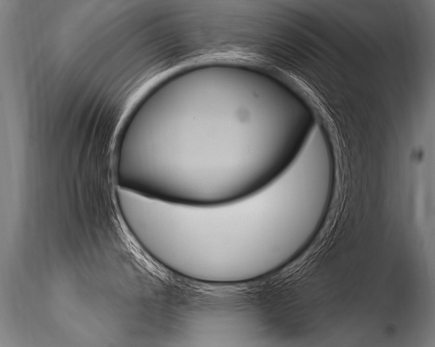 X0000116371200200912021002
