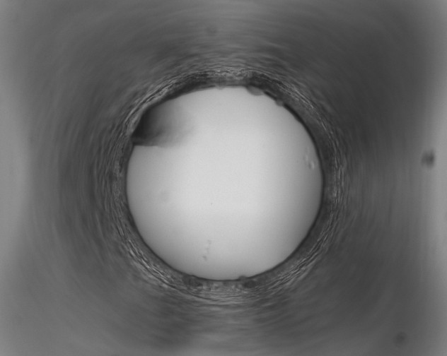 X0000116371201200912021002
