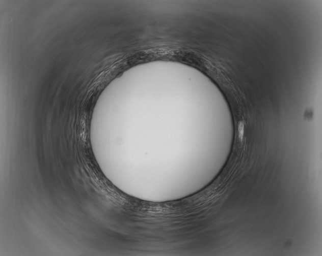 X0000116371203200912021002