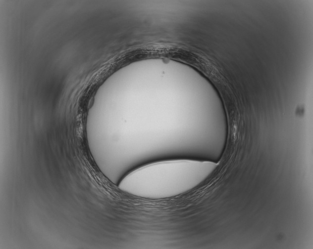 X0000116371204200912021002